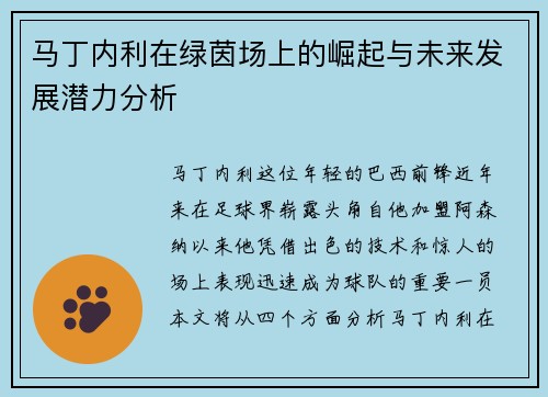 马丁内利在绿茵场上的崛起与未来发展潜力分析