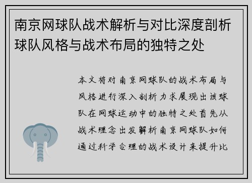 南京网球队战术解析与对比深度剖析球队风格与战术布局的独特之处